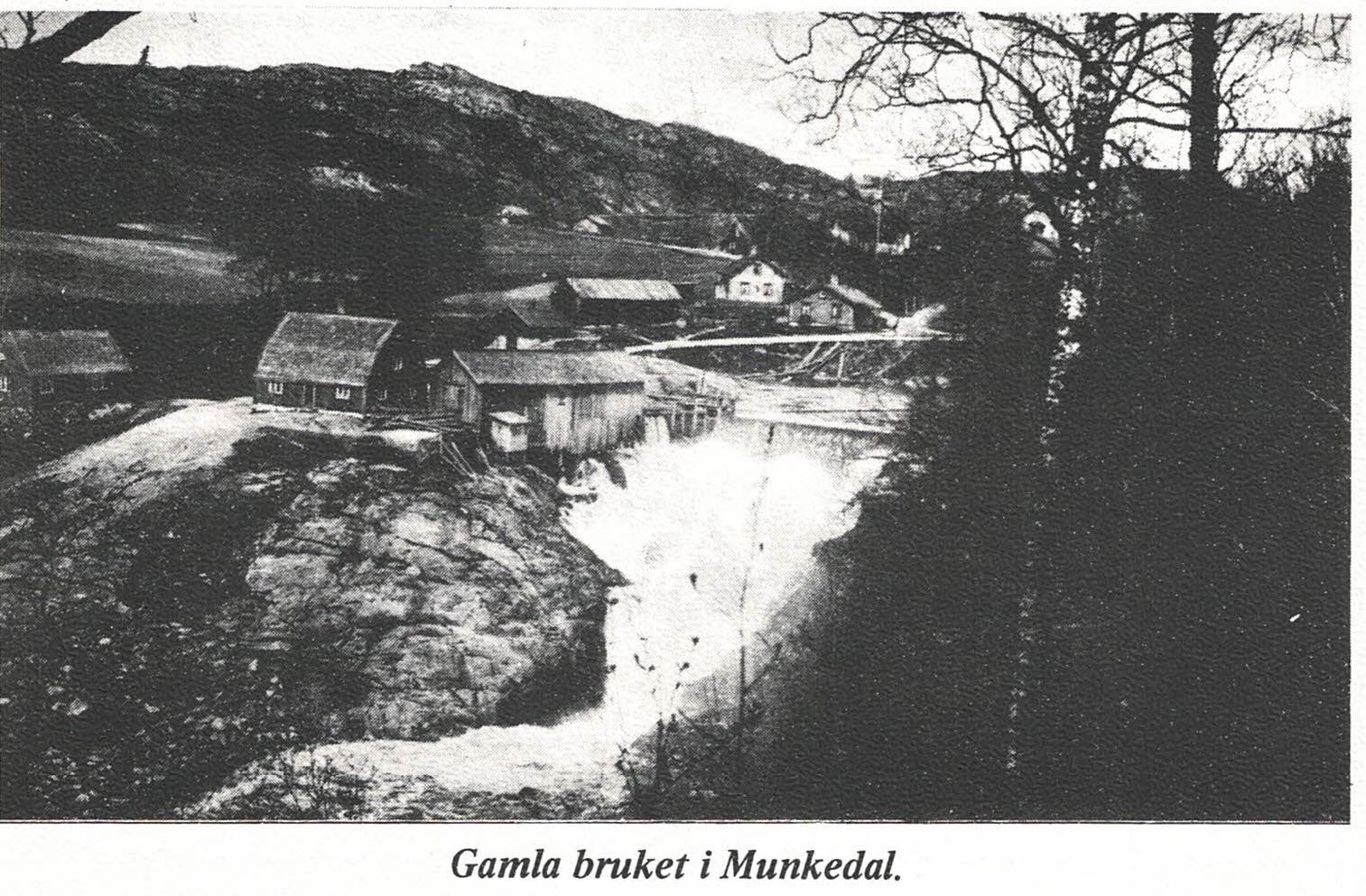 Gamla Bruket 1983-1.jpg